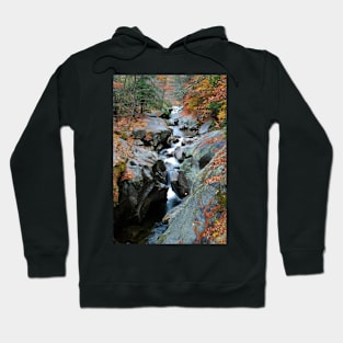 Sculptured Rocks Hoodie